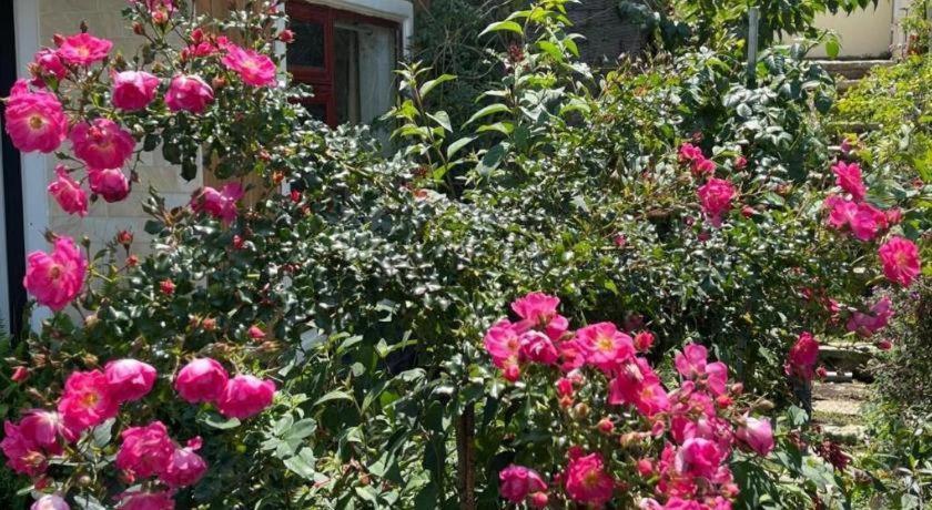 La Roza Dalat Boutique Hotel Exteriör bild